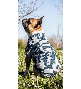 Chubasquero para perros moderno