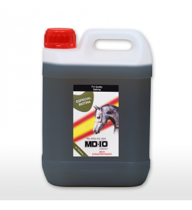 Champú Caballos Con Biotina 2L
