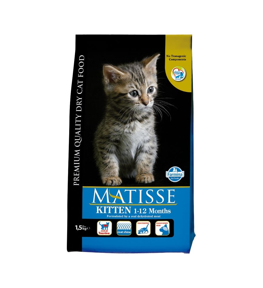 Matisse Gatitos