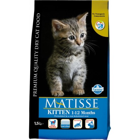 Matisse Gatitos