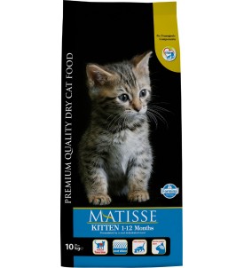 Matisse Gatitos