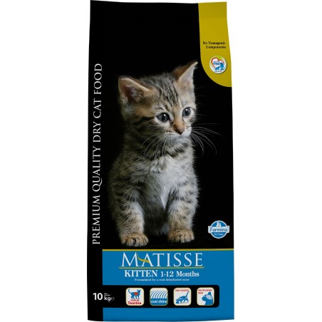 Matisse Gatitos