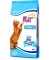 Fun Gatos Pescado
